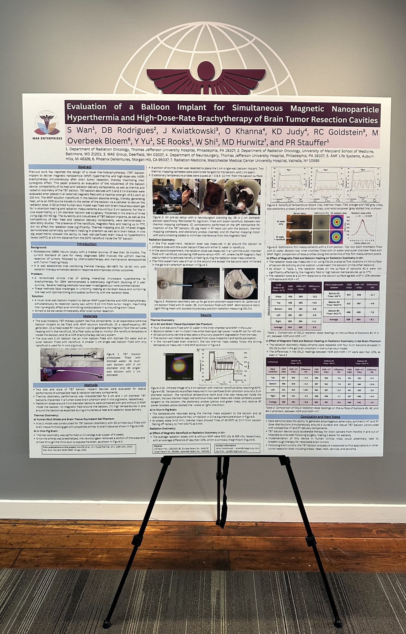 Poster presented at the Society for Thermal Medicine Conference 2024 ...